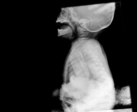 0513002198-20130115-CR-2-1